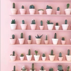 Meet your Posher, Jaimee